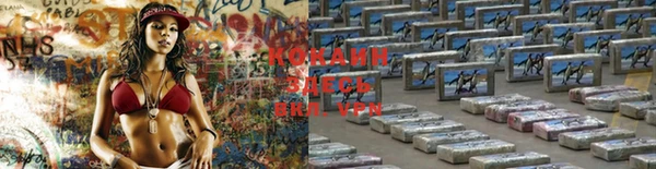 гашик Лагань